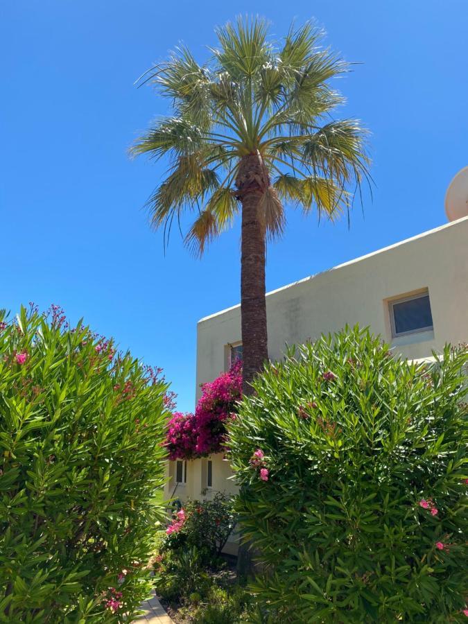Casa Sacha Villa Carvoeiro  Esterno foto
